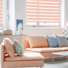 How to choose roller blinds: construction, types, materials, design, color, combination-5