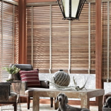 Blinds in the interior - what are the types and photos of window design-2
