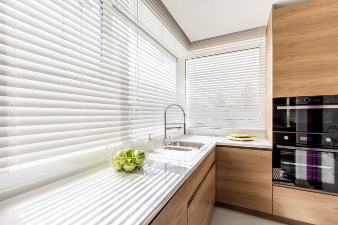 Blinds in the interior - what are the types and photos of window design