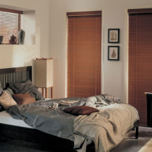 Jalousien im Schlafzimmer: Designmerkmale, Typen, Materialien, Farbe, Kombinationen, Foto-3
