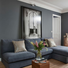 Szürke kanapé a belső térben: típusok, fotók, design, tapétával, függönyökkel, dekor-2 kombinációval