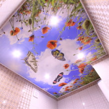 เพดานยืดพร้อมการพิมพ์ภาพถ่าย: ประเภท แนวคิดการออกแบบ ภาพวาด (ธรรมชาติ ดอกไม้ สัตว์ ฯลฯ) การจัดแสง-1