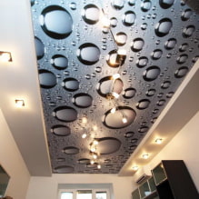 Stretch ceilings with photo printing: types, design ideas, drawings (nature, flowers, animals, etc.), lighting-3