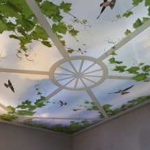 Stretch ceilings with 3d effect: design and drawings, examples in the interior of rooms-2