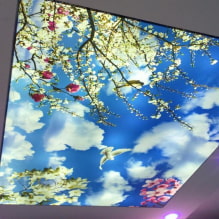 เพดานยืดพร้อมเอฟเฟกต์ 3 มิติ: การออกแบบและภาพวาด ตัวอย่างภายในห้อง-6