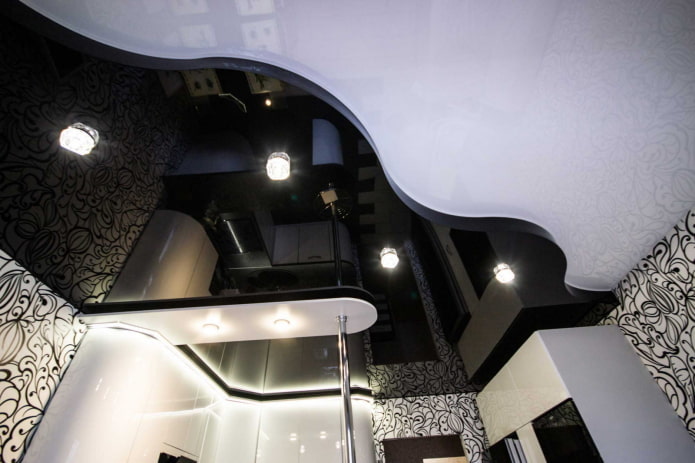 เพดานยืดสีดำและสีขาว: ประเภทของโครงสร้าง พื้นผิว รูปร่าง ตัวเลือกการออกแบบ