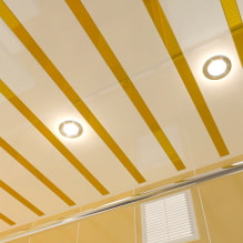 Rack ceiling: photo, types (made of wood, plastic, metal, aluminum), shape, design, color-0