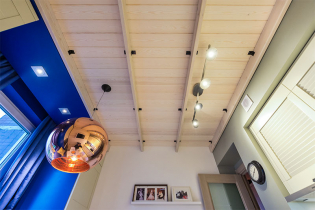 Lining ceiling: types, design ideas, color, figured decoration, lighting
