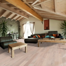 Holzdecke: Typen, Design, Farbe, Beleuchtung, Beispiele im Loft-Stil, Minimalismus, Klassik, Provence-1