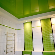 เพดานสีเขียว: การออกแบบ, เฉดสี, ​​การรวมกัน, ประเภท (ความตึงเครียด, drywall, ภาพวาด, วอลเปเปอร์) -3