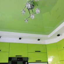 Green ceiling: design, shades, combinations, types (stretch, drywall, painting, wallpaper) -5