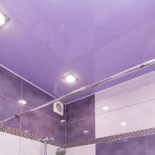 เพดาน Lilac: ประเภท (ยืด, แผ่นยิปซั่ม, ฯลฯ ), การรวมกัน, การออกแบบ, แสง-6