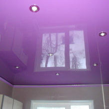 เพดาน Lilac: ประเภท (ยืด, แผ่นยิปซั่ม, ฯลฯ ), การรวมกัน, การออกแบบ, แสง-7