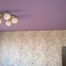 เพดาน Lilac: ประเภท (ยืด, แผ่นยิปซั่ม, ฯลฯ ), การรวมกัน, การออกแบบ, แสง-8