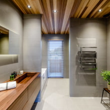 เพดานในห้องน้ำ: ประเภทของการตกแต่งตามวัสดุ, การออกแบบ, สี, การออกแบบ, แสง-0