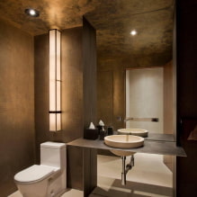 Ceiling in the toilet: types by material, construction, texture, color, design, lighting-0