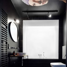 Плафон у тоалету: врсте према материјалу, конструкцији, текстури, боји, дизајну, осветљењу-2
