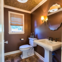 Ceiling in the toilet: types by material, construction, texture, color, design, lighting-6