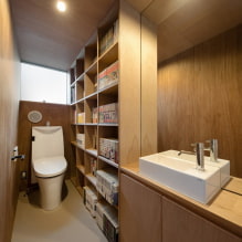 Decke in der Toilette: Typen nach Material, Konstruktion, Textur, Farbe, Design, Beleuchtung-8
