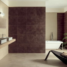 Fali dekoráció a fürdőszobában: típusok, tervezési lehetőségek, színek, dekorpéldák-1