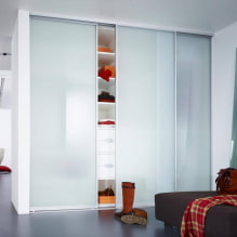 Wardrobe-partition for zoning: types, design, choice of material, color, shape-0
