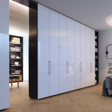 Wardrobe-partition for zoning: types, design, choice of material, color, shape-3