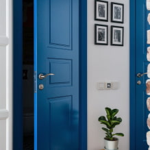Врата у скандинавском стилу: врсте, боја, дизајн и декор, избор додатне опреме-2