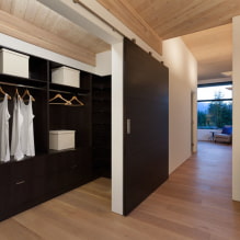 Doors to the dressing room: types, materials, design, color-1