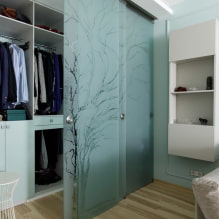 Doors to the dressing room: types, materials, design, color-8