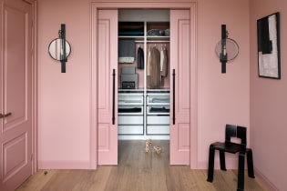 Doors to the dressing room: types, materials, design, color