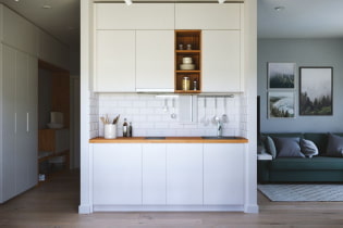 Кухињска ниша у стану: дизајн, облик и локација, боја, опције осветљења