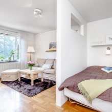 Entwurf einer Einzimmerwohnung mit Nische: Foto, Grundriss, Möbelanordnung-6