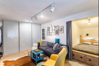 Entwurf einer Einzimmerwohnung mit Nische: Foto, Grundriss, Möbelanordnung