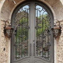 Forged doors: photos, types, design, examples with glass, patterns, drawings-4