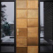 Улазна врата: фотографија, врсте материјала, боја, унутрашња декорација, дизајн-6