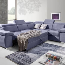 Sofa bed: photos, types of mechanisms, upholstery materials, design, colors, shapes-0