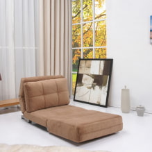 Stuhl-Bett: Foto, Gestaltungsideen, Farbe, Polsterwahl, Mechanismus, Füller, Rahmen-3