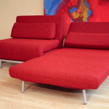 Chair-bed: larawan, mga ideya sa disenyo, kulay, pagpili ng tapiserya, mekanismo, tagapuno, frame-5