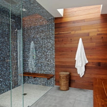 Duschraum aus Fliesen: Typen, Möglichkeiten zum Verlegen von Fliesen, Design, Farbe, Foto im Inneren des Badezimmers-2