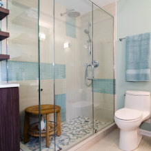 Zuhanyzó csempékből: típusok, csempék elhelyezésének lehetőségei, tervezés, szín, fotó a fürdőszoba belsejében-6