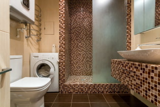 Zuhanyzó csempékből: típusok, csempék elhelyezésének lehetőségei, tervezés, szín, fotó a fürdőszoba belsejében