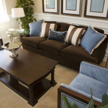 Brown sofa sa interior: mga uri, disenyo, materyales sa tapiserya, shade, kombinasyon-6