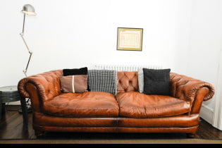 Brown sofa sa interior: mga uri, disenyo, materyales sa tapiserya, shade, kombinasyon