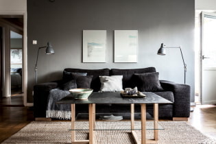 Fekete kanapé a belső térben: kárpitanyagok, árnyalatok, formák, tervezési ötletek, kombinációk