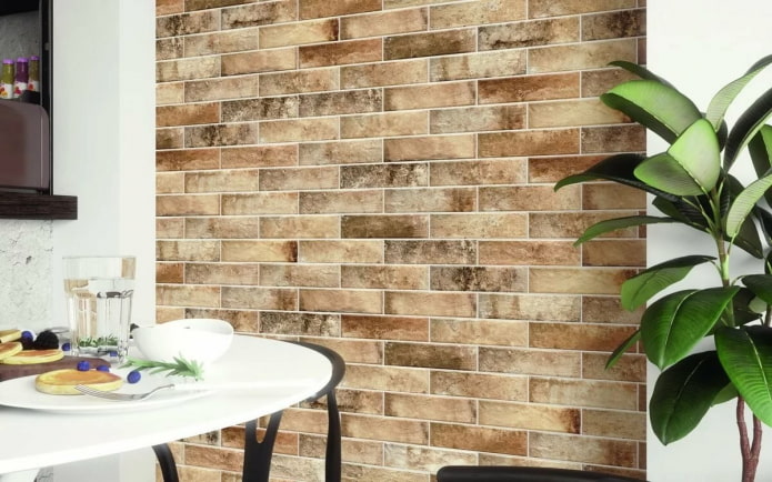 Clinker tiles: applications, photos in the house and apartment, colors, design
