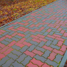 Paving slabs: types, shapes, texture options, colors, drawings and patterns, layout examples-1