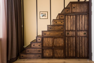 Wardrobe under the stairs: types, filling options, original ideas in a private house