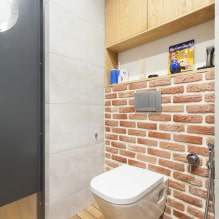 Kleiderschrank in der Toilette: Design, Typen, Standortoptionen, Foto im Innenraum-4