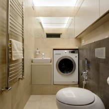 Kleiderschrank in der Toilette: Design, Typen, Standortoptionen, Foto im Innenraum-5