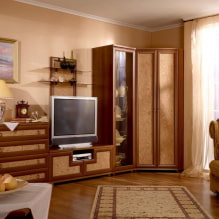Угаона гардероба у дневној соби: врсте, облици, боје, опције пуњења, примери клизних ормара у дворани-2